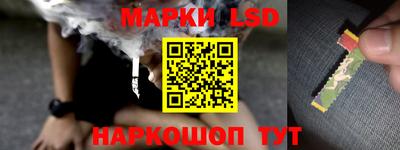Альфа ПВП Аргун