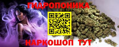 Альфа ПВП Аргун