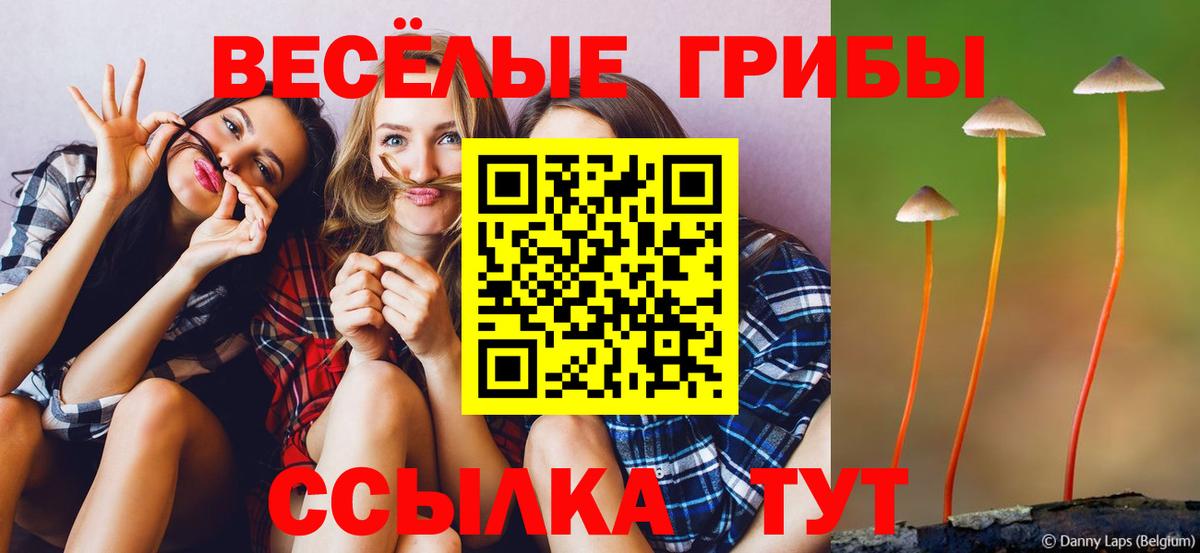 Галлюциногенные грибы Psilocybe Артёмовский